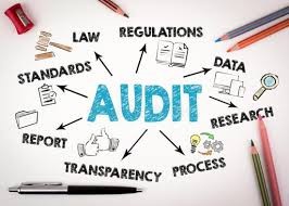 Medical Internal Audit Unit